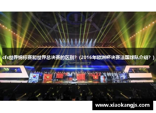 cfs世界锦标赛和世界总决赛的区别？(2016年欧洲杯决赛法国球队介绍？)