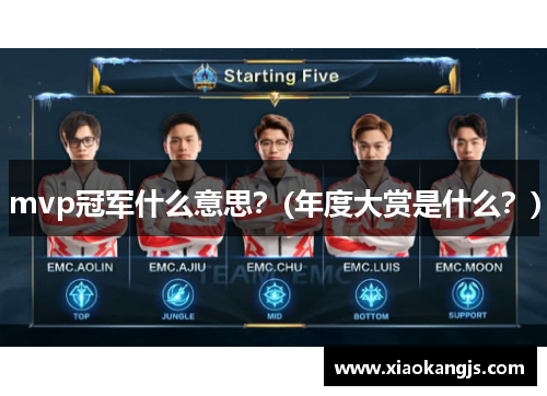 mvp冠军什么意思？(年度大赏是什么？)