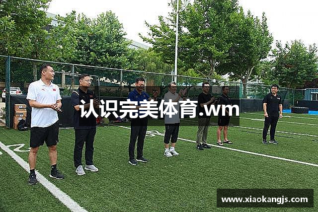 认识完美体育.wm